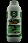 FixCalcium